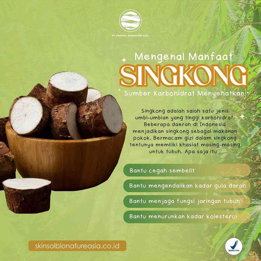 pabrik collagen